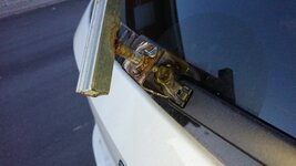 DSC_1873.JPG