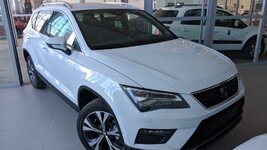 ATECA.jpeg