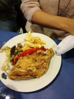 IMG_20161204_161018.jpg