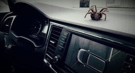 20161218_133445.jpg