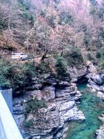 IMG_20161218_093006~2.jpg