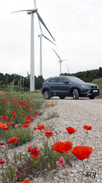 12- MAYO 20 - ATECA ENTRE FLORES (2).jpg