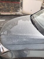 D4712722-2A1C-4BC9-A6F2-A0EFE4430928.jpeg