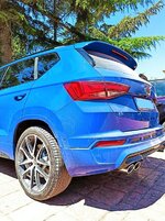 cupra_dust1 (2)_LI.jpg