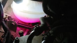DSC_2353.JPG