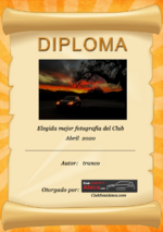 Diploma Concurso Abril 20.png