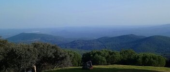 _20200802_170100.JPG