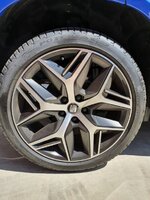 20200719_114918.jpg