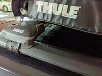 IMG_20200820_104456.jpg