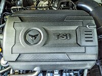IMG_20200824_193101.jpg