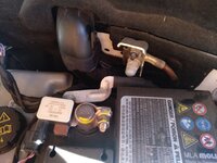 MVIMG_20200903_101901_184.jpg