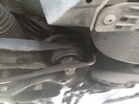 IMG_20200904_151032.jpg