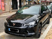 cupra1.jpg