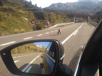 IMG_20200929_174444831.jpg