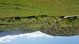 20200522_124857.jpg