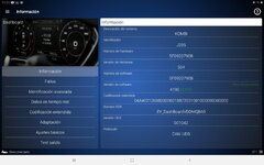 Screenshot_20201101-111147_OBDeleven.jpg