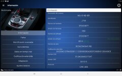 Screenshot_20201101-213732_OBDeleven.jpg