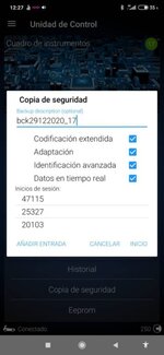 Screenshot_2020-12-29-12-27-59-917_com.voltasit.obdeleven.jpg