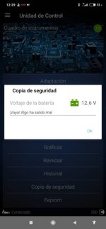 Screenshot_2020-12-29-12-29-17-381_com.voltasit.obdeleven.jpg