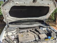 PXL_20210218_102848034.MP.jpg