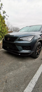 cupra 2.jpg