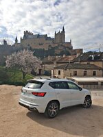 Ateca miniRa 2.jpeg
