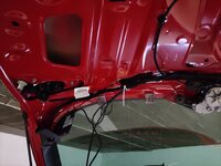 IMG_20210313_200553.jpg