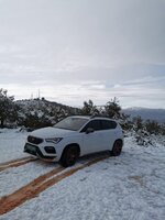 IMG_20210318_171110.jpg