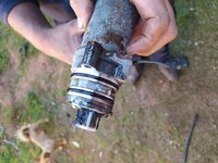IMG_20210502_110916.jpg