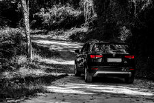DSC_2070-(1).jpg