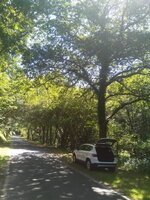 IMG_20210813_130955.jpg