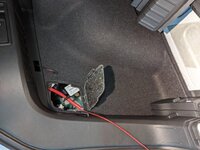 PXL_20210817_065242960.jpg