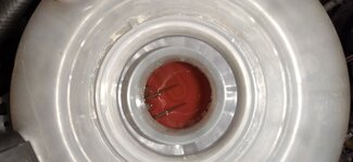 IMG_20211018_173141.jpg