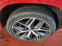 IMG_20211203_185054.jpg