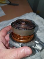 20220209_204421.jpg