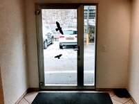 IMG_0712.jpg