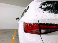 IMG_0719.jpg