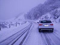 IMG_20170114_170759 edi.jpg