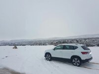 2017-01-19 10.16.56.jpg