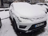 20170110_085357-01.jpeg