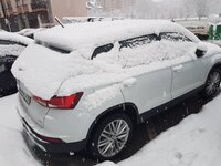 20170110_085328.jpg
