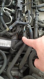 IMG_20220712_132703.jpg