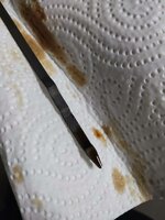 aciete.jpg