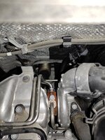 IMG_20220821_153946.jpg