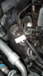 IMG20220904121145.jpg