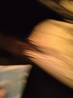 IMG20221019191807.jpg