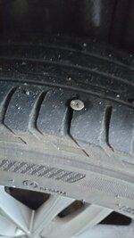IMG20221121095046.jpg