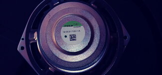 20230125_111929.jpg