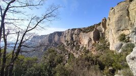 IMG_20230219_151918.jpg