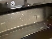 IMG_7680.jpeg